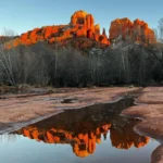 reflection